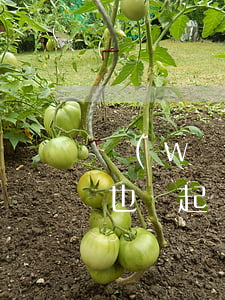 網(wǎng)貸逾期兩年對(duì)方也沒起訴 網(wǎng)貸逾期兩年了一直沒有被起訴