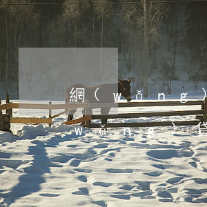 網(wǎng)貸逾期兩年影響錄用嗎(網(wǎng)貸逾期2個(gè)月影響大嗎)