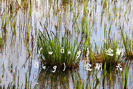 網(wǎng)貸逾期兩年怎么還款(網(wǎng)貸逾期幾天還了之后)
