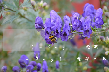 網(wǎng)貸逾期兩年支付令來了(網(wǎng)貸逾期2年)