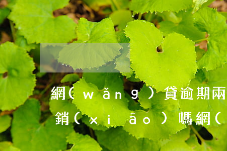 網(wǎng)貸逾期兩年會(huì)注銷(xiāo)嗎(網(wǎng)貸逾期2年)