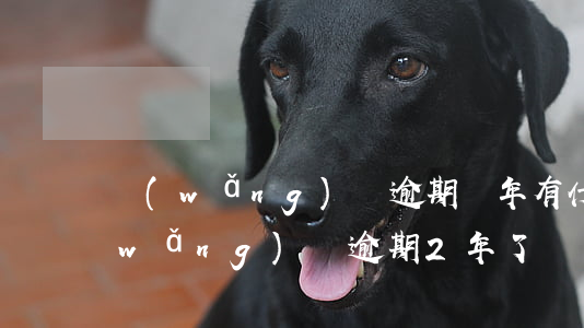 網(wǎng)貸逾期兩年有什么影響(網(wǎng)貸逾期2年了)