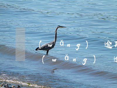 網(wǎng)貸逾期兩年被起訴了怎么辦(網(wǎng)貸逾期兩年為什么不起訴)
