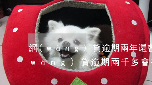 網(wǎng)貸逾期兩年還會起訴嗎(網(wǎng)貸逾期兩千多會被起訴嗎?)