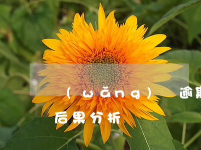 網(wǎng)貸逾期兩月后還款的影響及后果分析