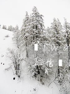 網(wǎng)貸逾期兩月會(huì)上征信嗎(網(wǎng)貸逾期兩天上征信嗎)