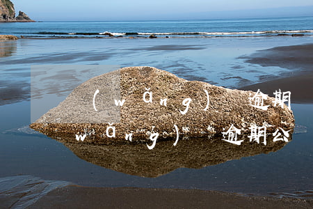 網(wǎng)貸逾期兩次影響公積金(網(wǎng)貸逾期公積金會有影響嗎)