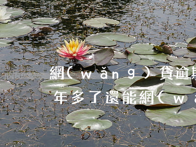 網(wǎng)貸逾期兩次還能貸嗎(逾期2年多了還能網(wǎng)貸嗎)