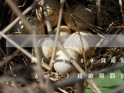 網(wǎng)貸逾期兩萬罰金計算(網(wǎng)貸逾期罰息不得超過多少)