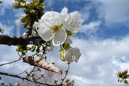 網(wǎng)貸逾期八天嚴(yán)重嗎(網(wǎng)貸逾期8天會怎么樣)