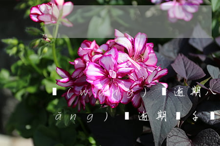 網(wǎng)貸逾期八萬會上門嗎(網(wǎng)貸逾期幾千塊錢會上門嗎)