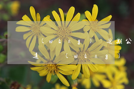 網(wǎng)貸逾期公務(wù)員審核通過(網(wǎng)貸影響公務(wù)員審核嗎)