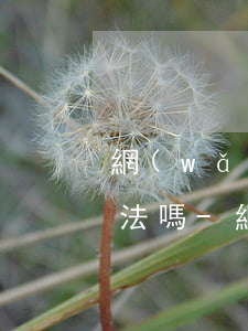 網(wǎng)貸逾期公司打通訊錄電話違法嗎-網(wǎng)貸逾期打電話到公司合法嗎