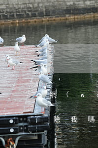 網(wǎng)貸逾期公司會(huì)開除我嗎(網(wǎng)貸逾期會(huì)不會(huì)找到上班公司)