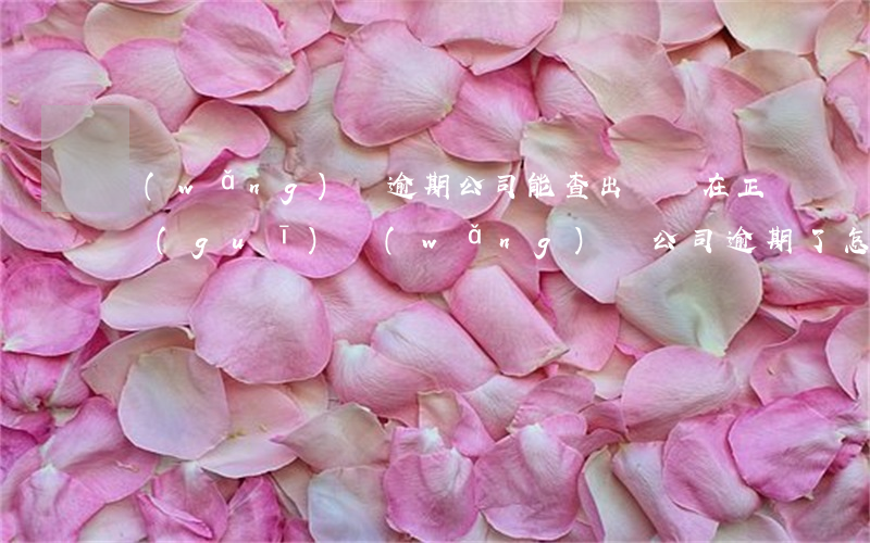 網(wǎng)貸逾期公司能查出來嗎(在正規(guī)網(wǎng)貸公司逾期了怎么辦)