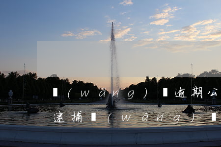 網(wǎng)貸逾期公安上門(mén)逮捕(網(wǎng)貸逾期逮捕令是真的嗎)