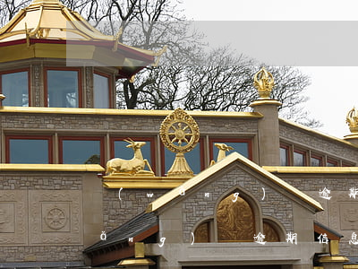 網(wǎng)貸逾期公示什么意思(網(wǎng)貸逾期信息)