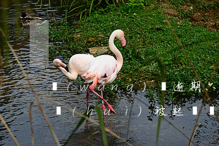 網(wǎng)貸逾期六千會(huì)不會(huì)被起訴 網(wǎng)貸五千多逾期會(huì)不會(huì)被起訴