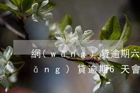 網(wǎng)貸逾期六天上征信嗎(網(wǎng)貸逾期6天會上征信嗎)