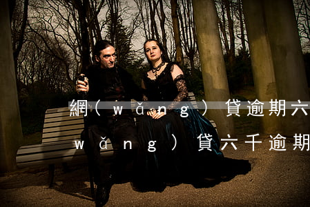網(wǎng)貸逾期六年警察立案嗎(網(wǎng)貸六千逾期半年會(huì)被起訴嗎)