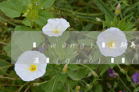網(wǎng)貸逾期再借款會(huì)通過(guò)嗎(網(wǎng)貸逾期幾天會(huì)不會(huì)影響以后的貸款)