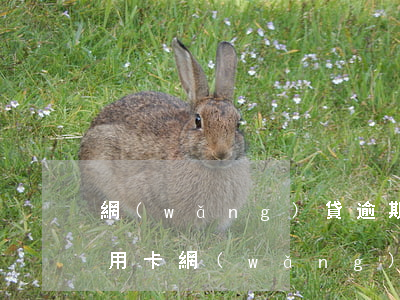 網(wǎng)貸逾期凍結(jié)了信用卡(網(wǎng)貸逾期后信用卡)