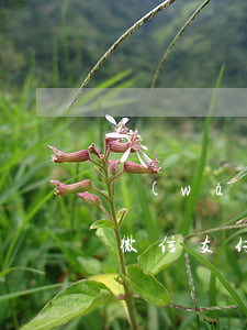 網(wǎng)貸逾期凍結(jié)名下微信支付寶(網(wǎng)貸逾期凍結(jié)名下微信支付寶銀行卡是真的嗎)