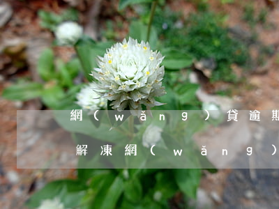 網(wǎng)貸逾期凍結(jié)怎么解凍(網(wǎng)貸逾期多久會(huì)被凍結(jié)賬戶)
