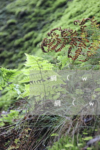 網(wǎng)貸逾期凍結(jié)資金(網(wǎng)貸逾期凍結(jié)資金怎么處理)