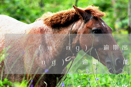 網(wǎng)貸逾期出行會限制嗎(網(wǎng)貸逾期車貸能過嗎)