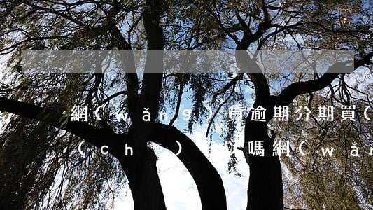 網(wǎng)貸逾期分期買(mǎi)車(chē)可以嗎(網(wǎng)貸逾期買(mǎi)車(chē)能分期嗎)