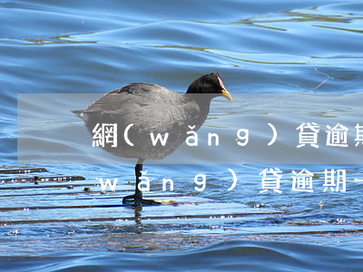 網(wǎng)貸逾期判決后多久出來(網(wǎng)貸逾期一般什么時(shí)候法院會(huì)受理)