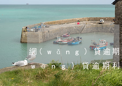 網(wǎng)貸逾期利息可以算多久(網(wǎng)貸逾期利息可以算多久)