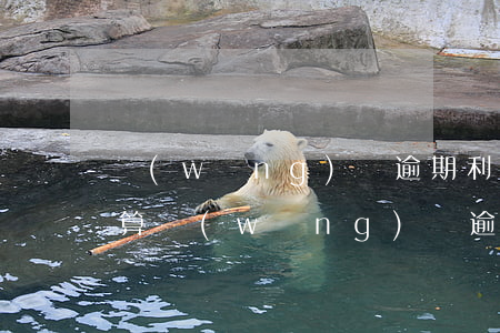 網(wǎng)貸逾期利息怎么計(jì)算(網(wǎng)貸逾期利息怎么計(jì)算)