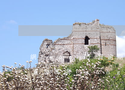 網(wǎng)貸逾期利息會(huì)一直加嗎(網(wǎng)貸逾期利息會(huì)一直加嗎)