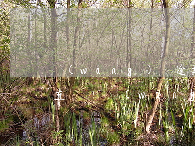 網(wǎng)貸逾期利息會(huì)一直漲嗎(網(wǎng)貸逾期了會(huì)有什么后果?)
