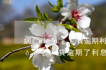 網(wǎng)貸逾期利息比本金高(網(wǎng)貸逾期了利息越來越高怎么處理)