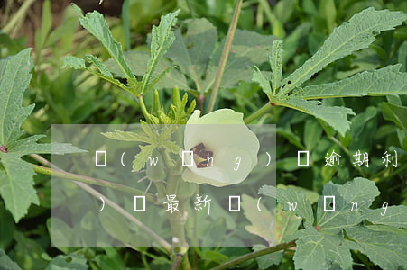 網(wǎng)貸逾期利息法律保護(hù)嗎(最新網(wǎng)貸利息超過多少不受法律保護(hù))