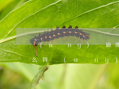 網(wǎng)貸逾期利息費(fèi)怎么算(網(wǎng)貸逾期后利息和罰息怎么算)