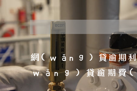 網(wǎng)貸逾期利息高了怎么辦(網(wǎng)貸逾期費(fèi)用太高怎么辦)
