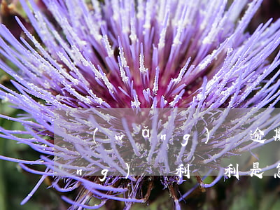 網(wǎng)貸逾期利滾利合法(網(wǎng)貸利滾利是怎么回事)