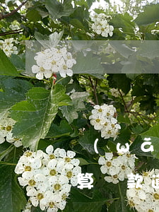 網(wǎng)貸逾期利率怎么計(jì)算(貸款逾期率計(jì)算公式)