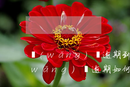 網(wǎng)貸逾期到底該怎么處理(網(wǎng)貸逾期如何還款)