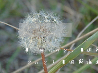網(wǎng)貸逾期到法院取傳票(網(wǎng)貸逾期接到法院傳票)
