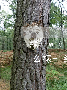 網(wǎng)貸逾期到通訊錄所有人會怎么樣-網(wǎng)貸逾期到通訊錄所有人會怎么樣嗎