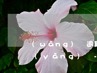 網(wǎng)貸逾期前妻趁機來搶孩子撫養(yǎng)權-網(wǎng)貸逾期前妻趁機來搶孩子撫養(yǎng)權怎么辦