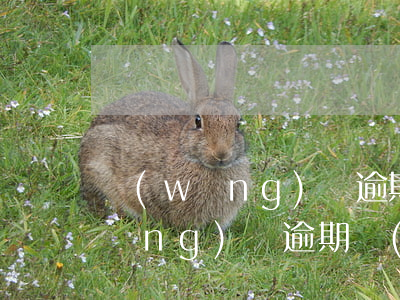 網(wǎng)貸逾期前期如何溝通(網(wǎng)貸逾期進(jìn)去訴訟階段要怎么處理)