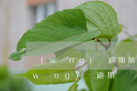 網(wǎng)貸逾期加微信怎么處理 網(wǎng)貸逾期會強制扣除微信賬戶嗎