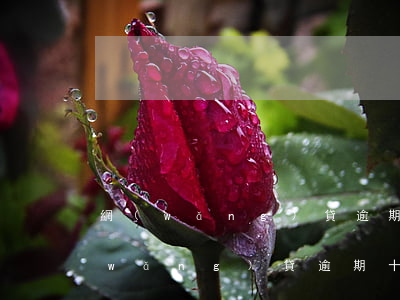 網(wǎng)貸逾期十一天怎么處罰(網(wǎng)貸逾期十天什么后果)