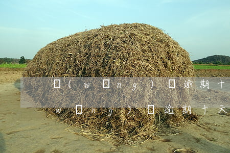 網(wǎng)貸逾期十多天會怎么樣(網(wǎng)貸逾期十天會不會有事)